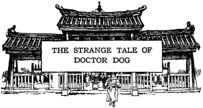 doctordog